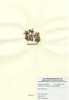 藏品(厚龍鬚菜)的圖片